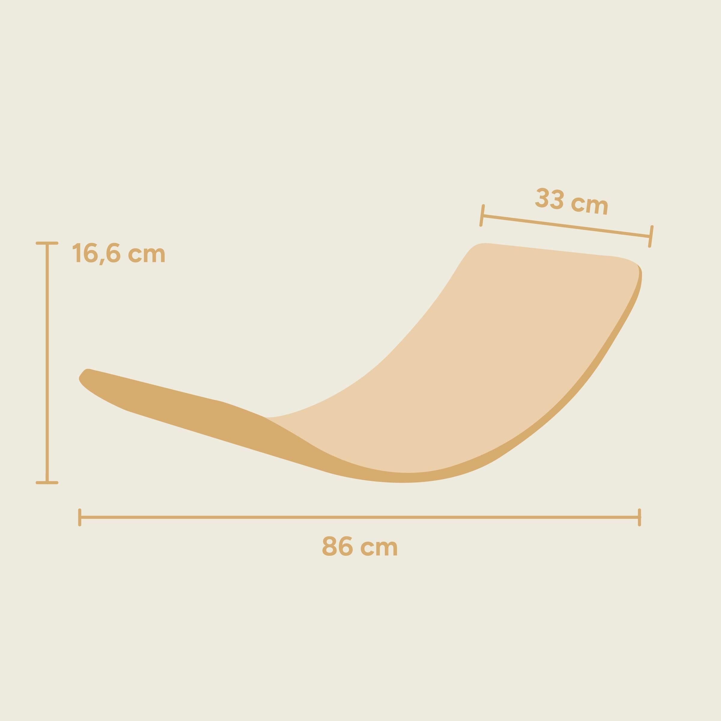 Balanceboard | Buchenschichtholz (Transparent Lackiert) | 5594