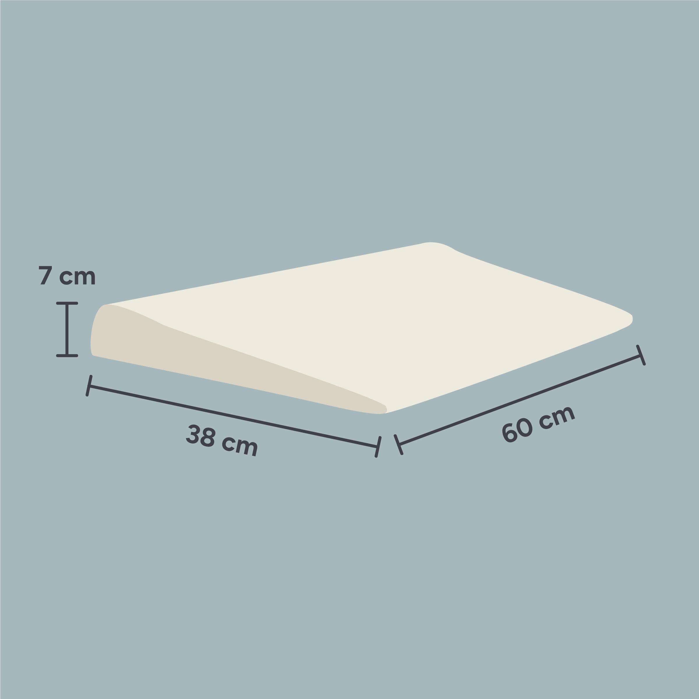 Keilkissen | 60x38 cm