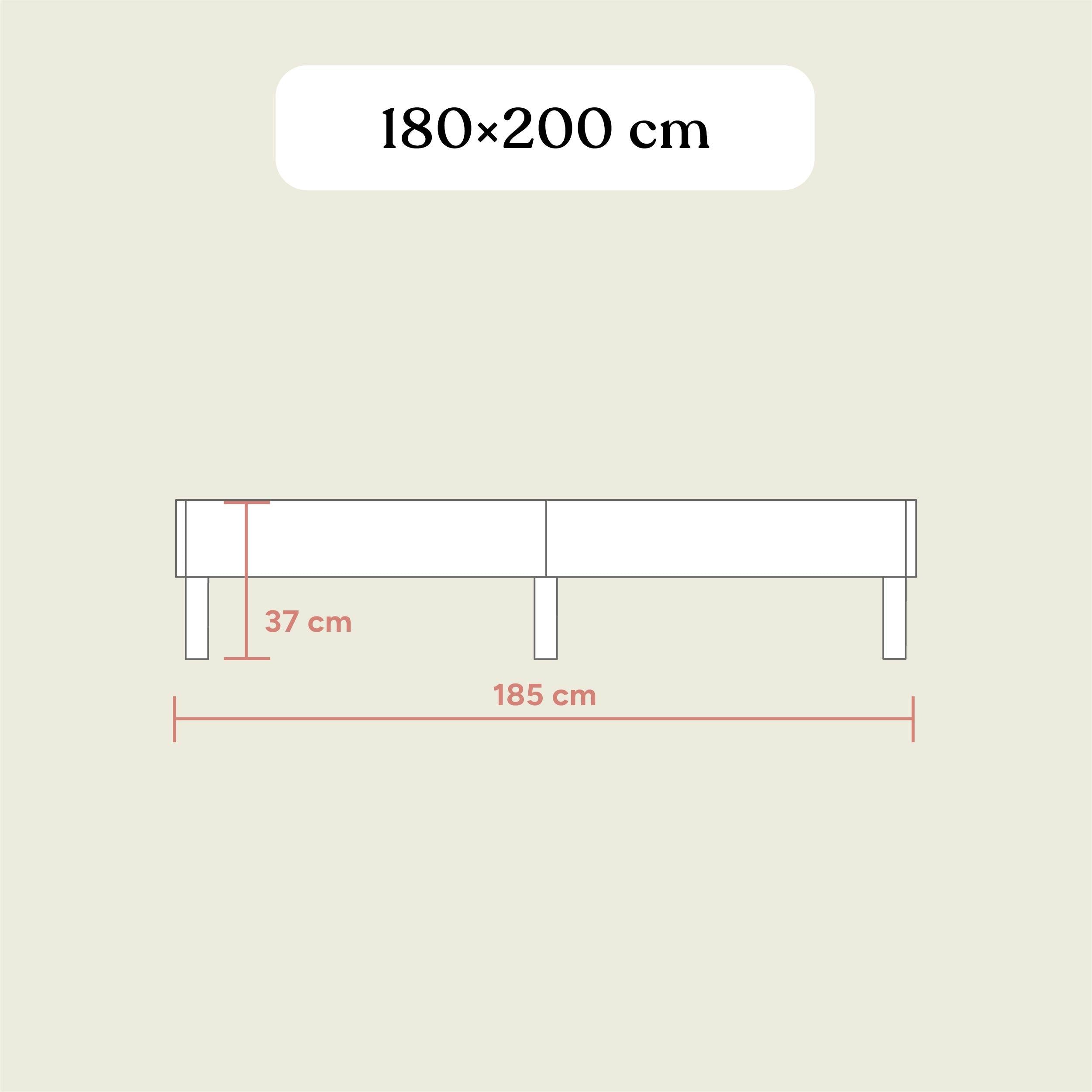 Familienbett Plano | Buche Natur | 180x200 cm