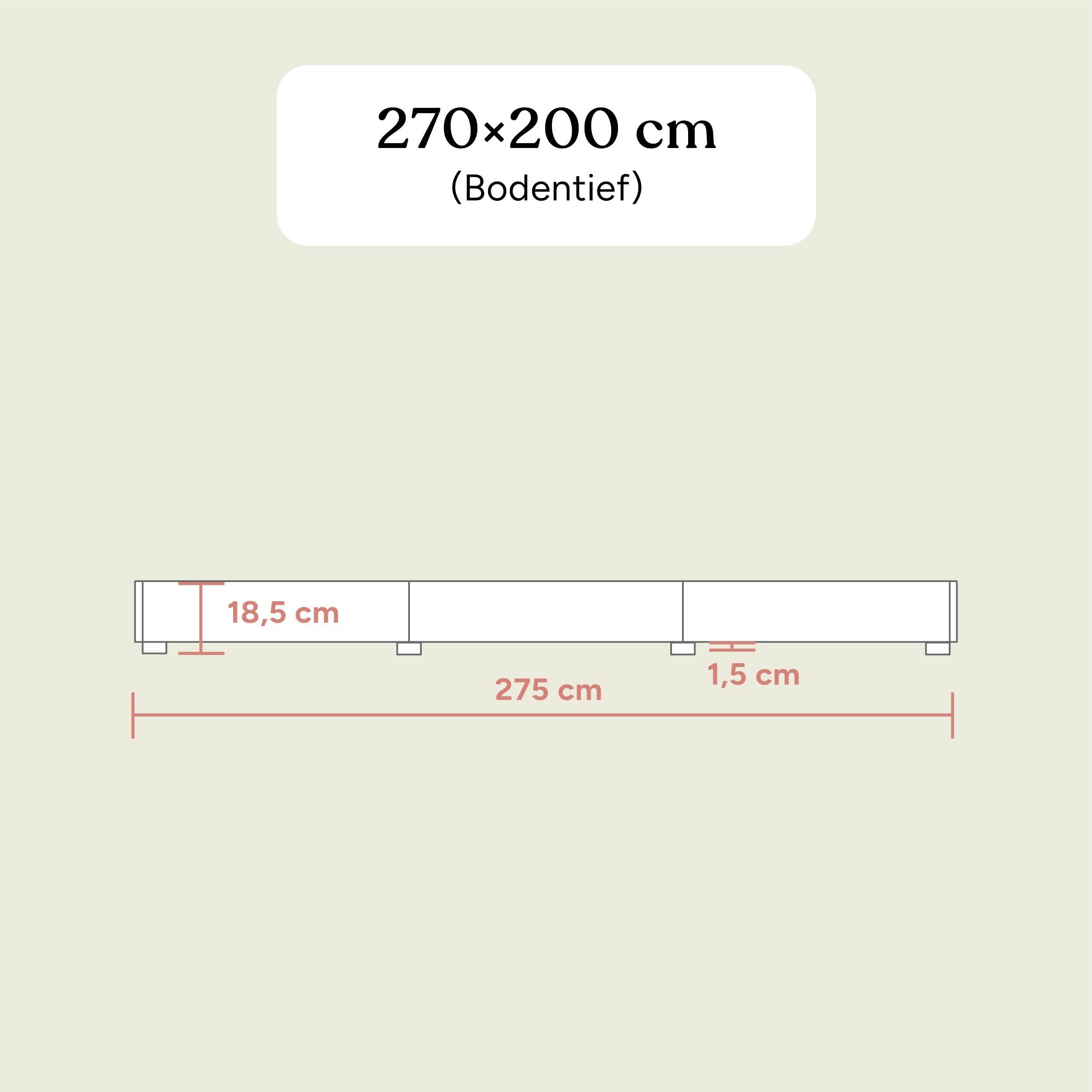 Familienbett Plano | Buche Natur | 270x200 cm