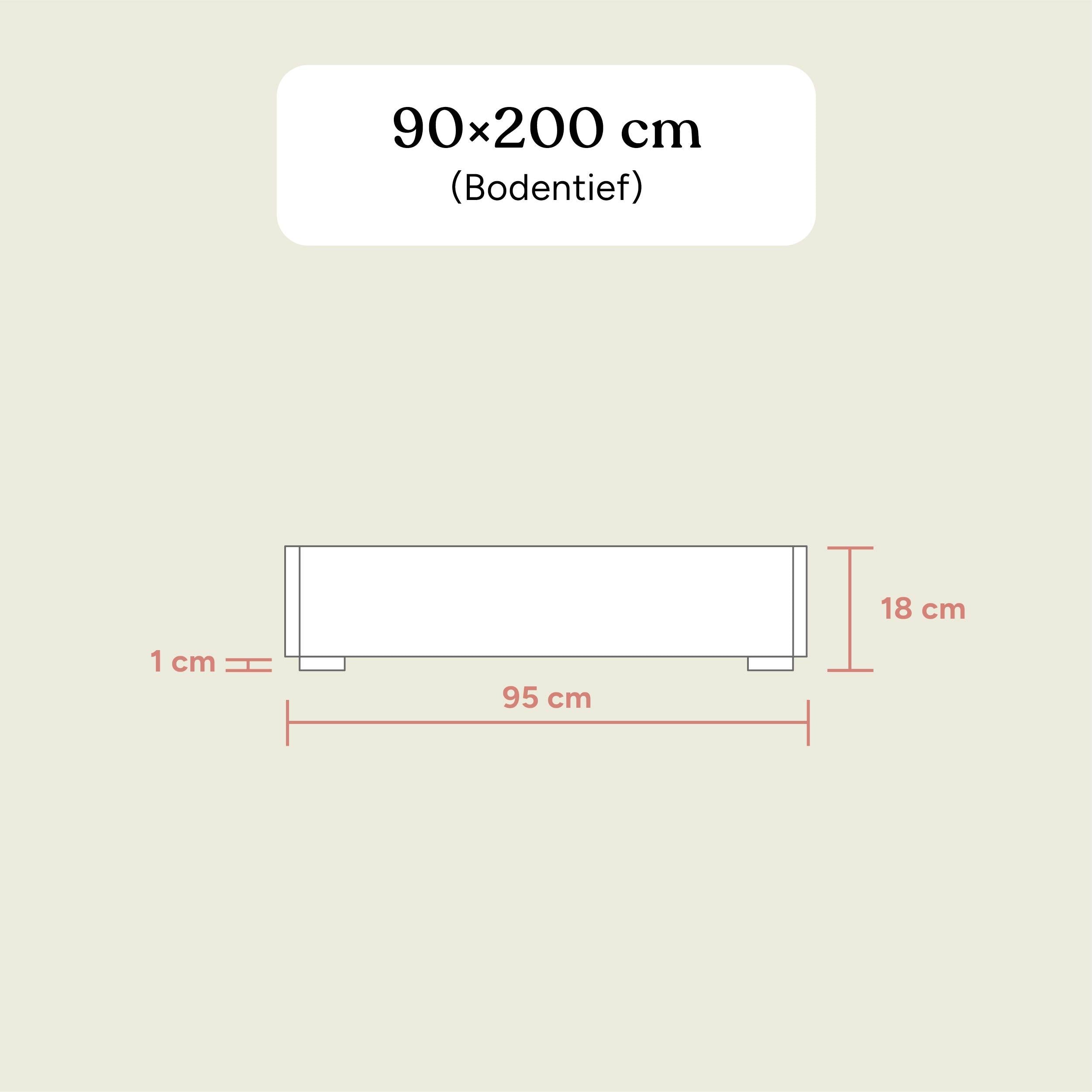 Familienbett Plano | Kiefer Natur | 90x200 cm
