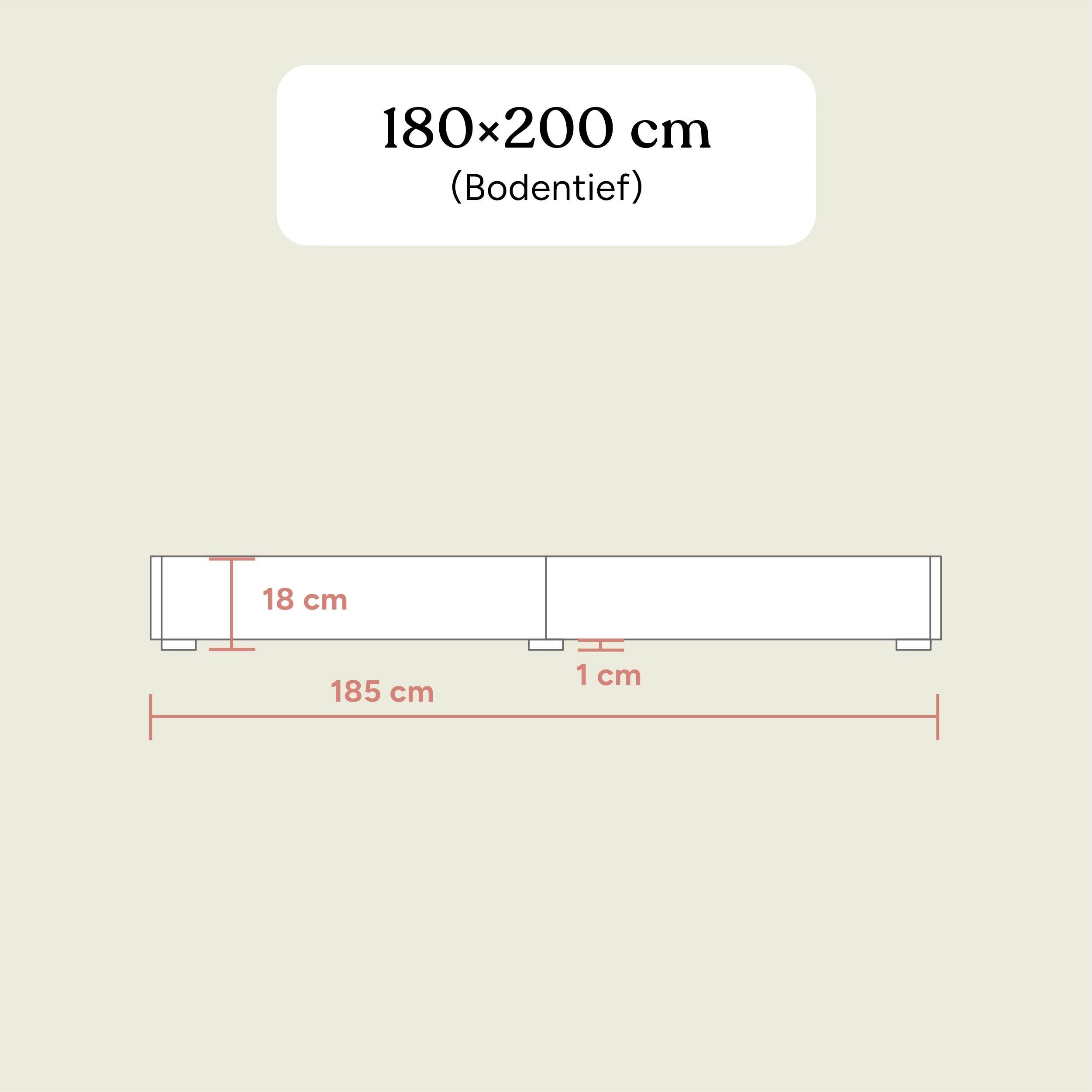 Familienbett Plano | Kiefer Natur | 180x200 cm