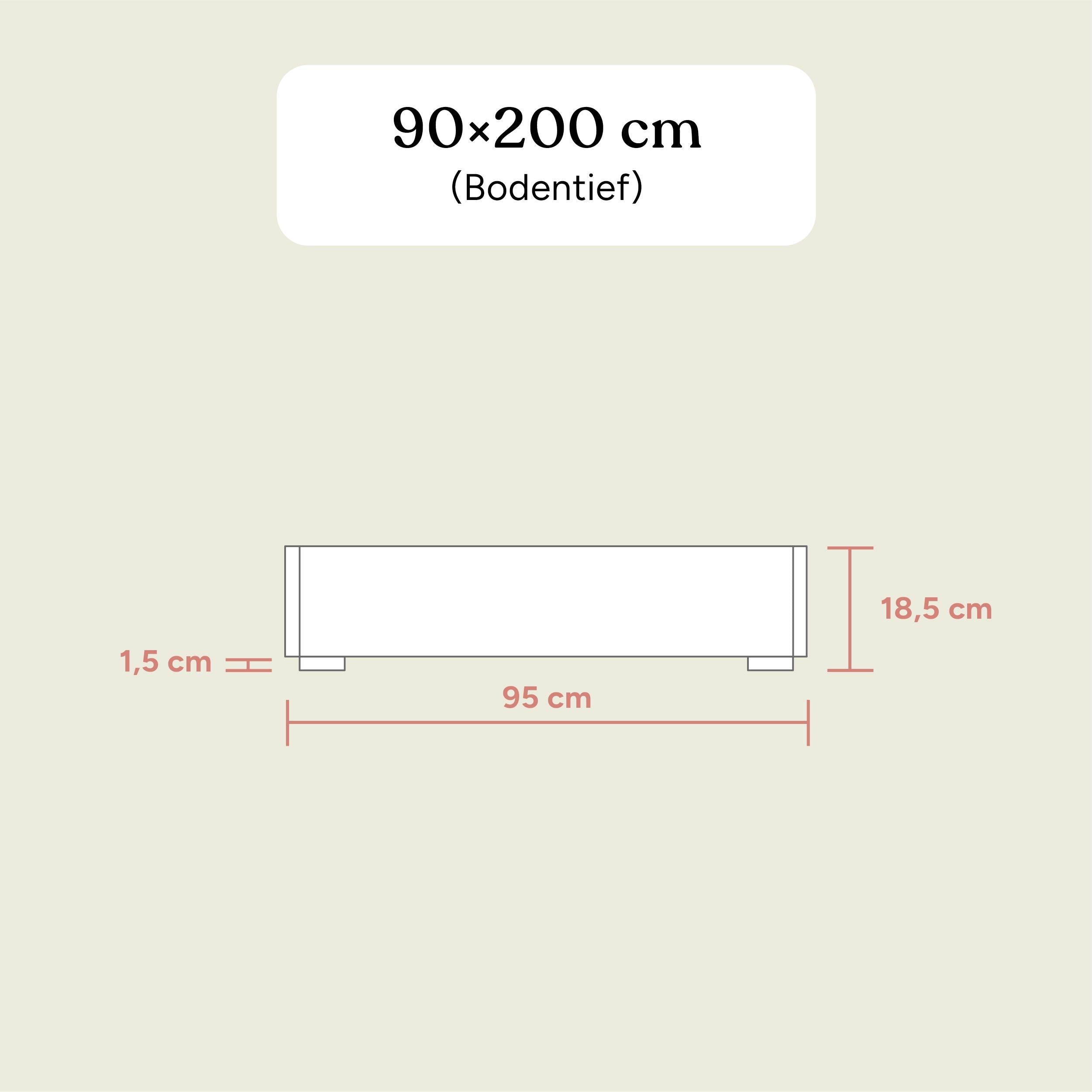 Familienbett Plano | Birke Transparent | 90x200 cm