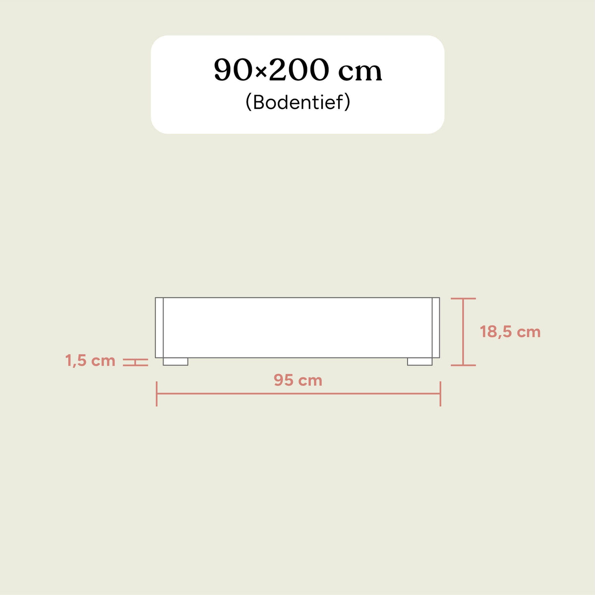 Betten Plano | Birke Transparent | 90x200 cm