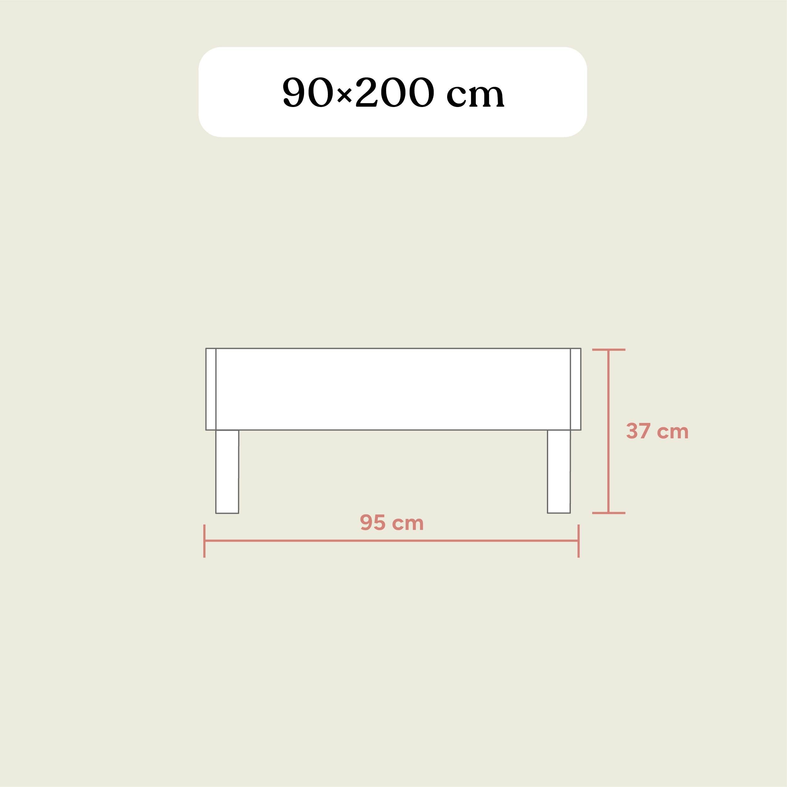 Familienbett Plano | Birke Transparent | 90x200 cm