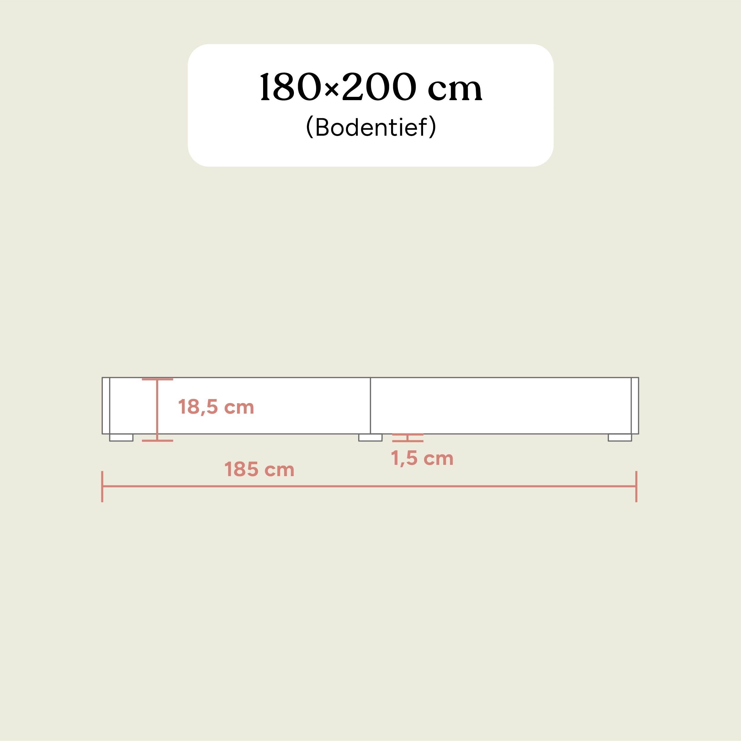 Familienbett Plano | Birke Transparent | 180x200 cm
