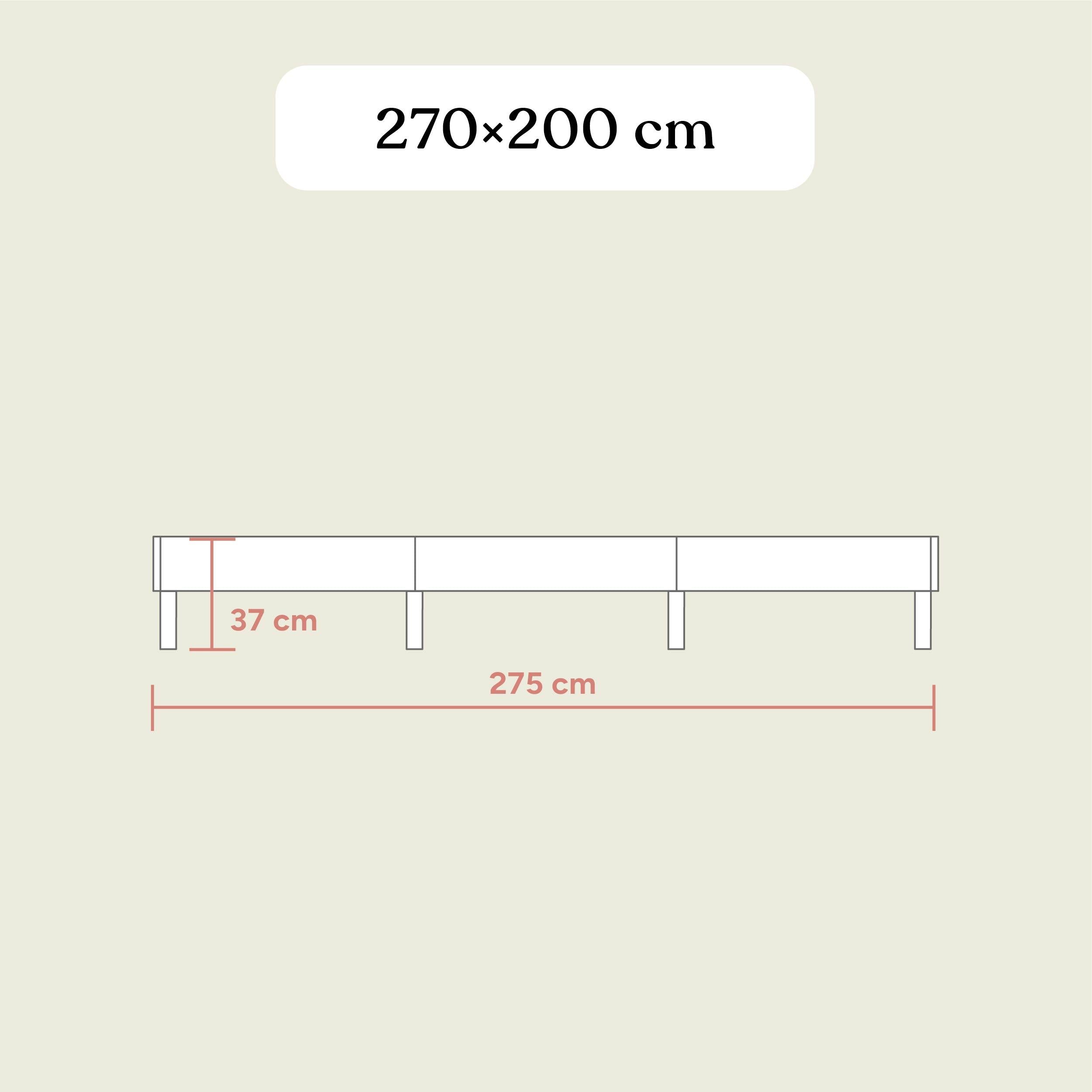 Familienbett Plano | Birke Transparent | 270x200 cm