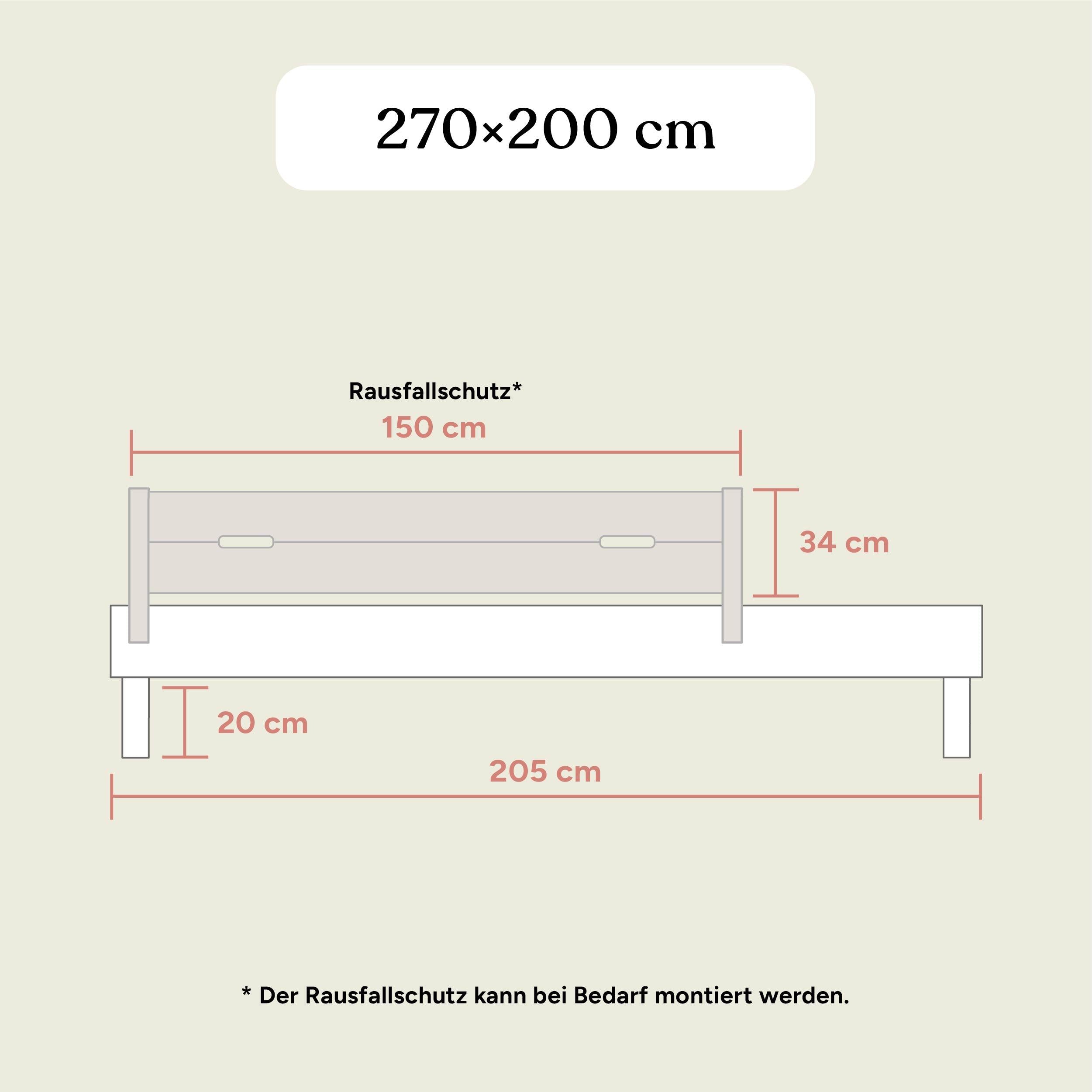 Familienbett Plano | Birke Transparent | 270x200 cm