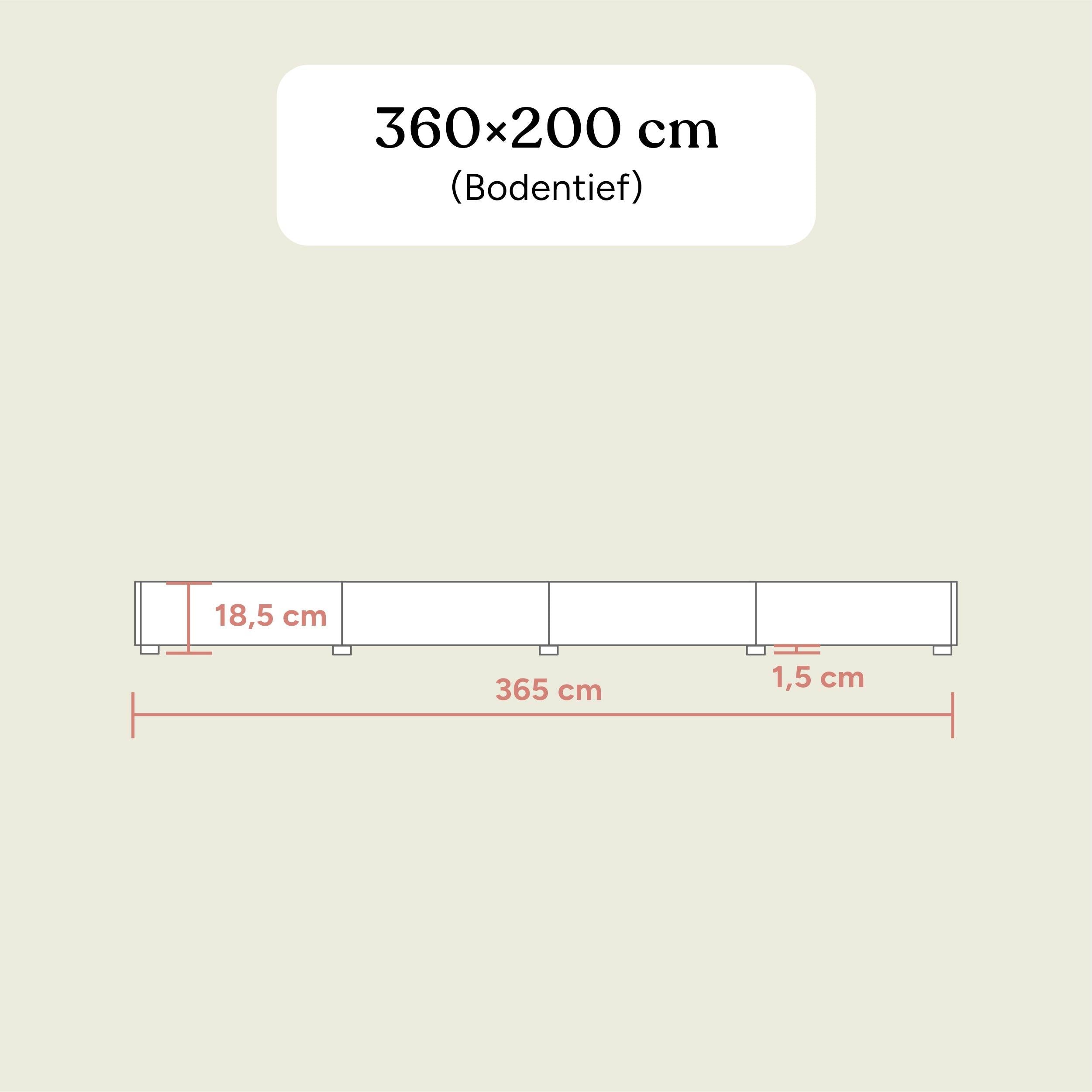 Familienbett Plano | Birke Transparent | 360x200 cm