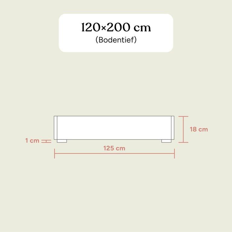 Familienbett Plano | Buche Natur | 120x200 cm