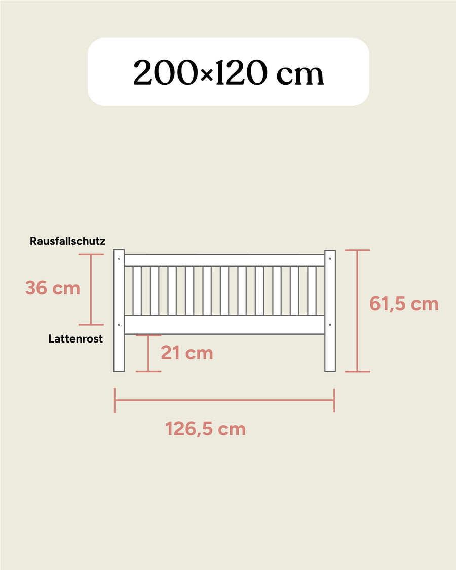 Buche Weiß