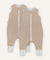 Beige Pusteblume