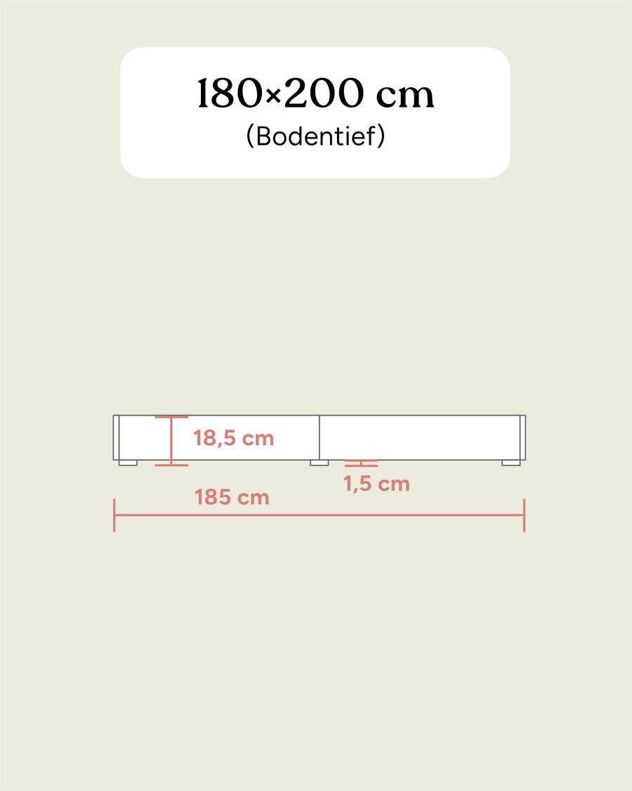 Doppelbett Plano | Buche | 180 × 200 cm