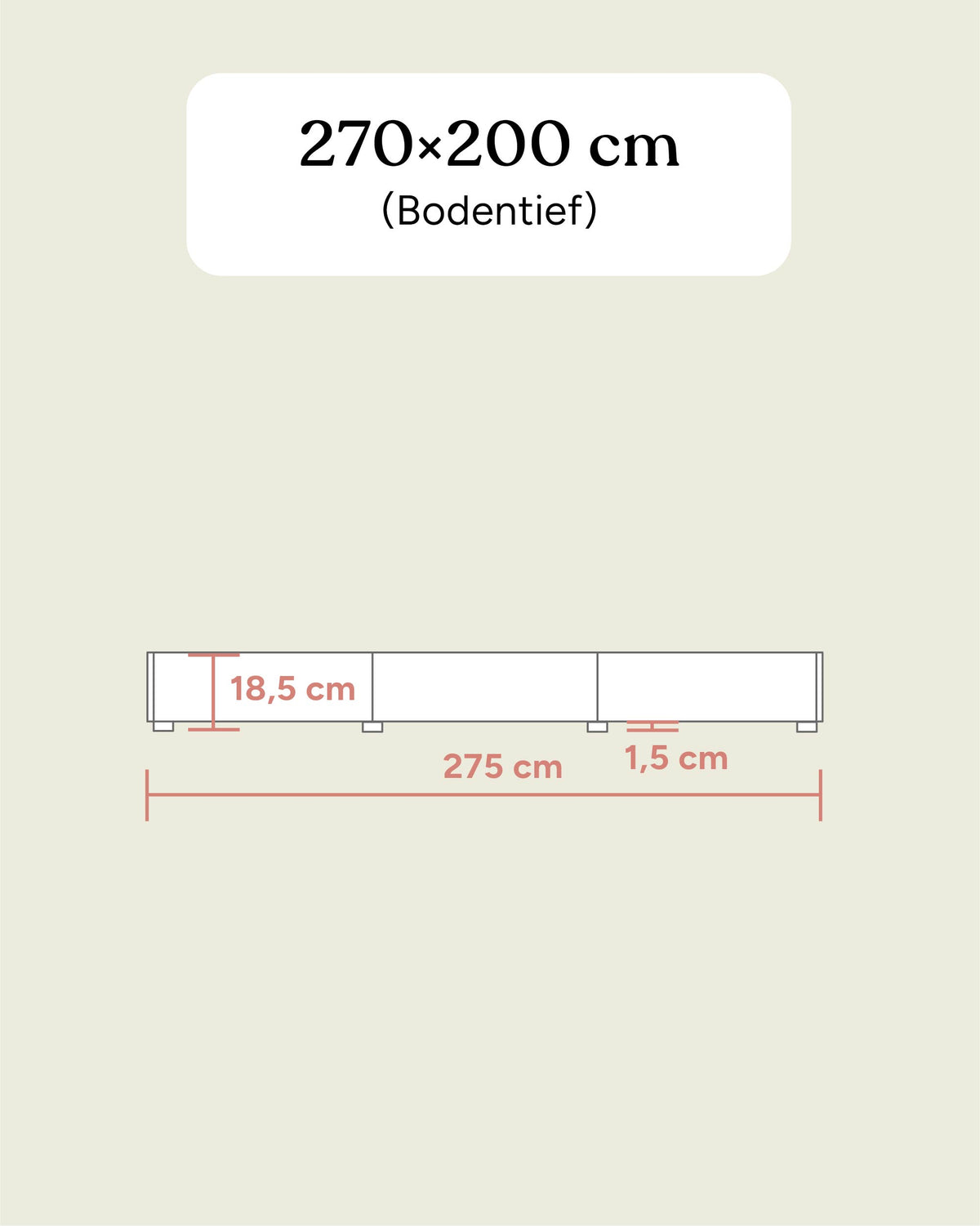 Familienbett Plano | Buche | 270 × 200 cm