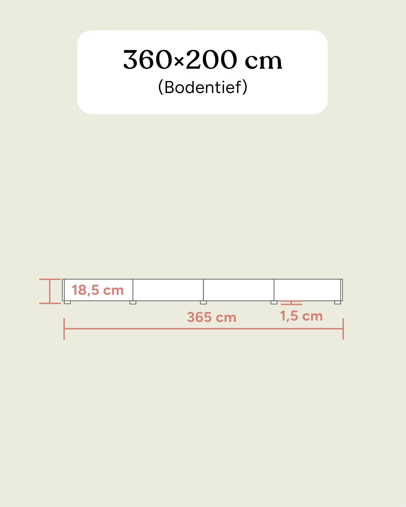Familienbett Plano | Buche | 360 × 200 cm