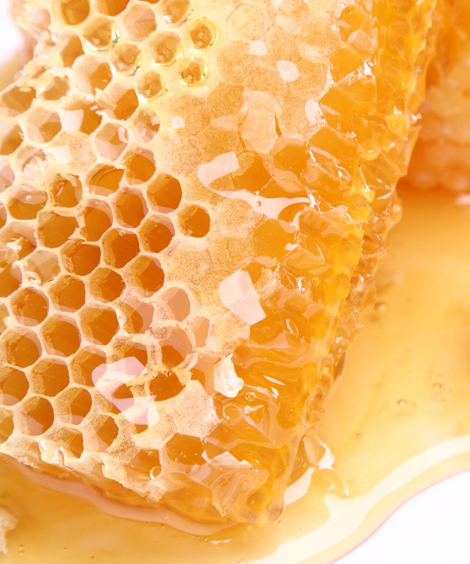 Detailaufnahme Honigwabe.